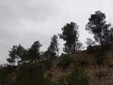  DSC0279