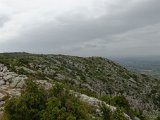 036 DxO