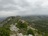 039 DxO