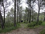  DSC0344