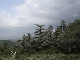  DSC0354
