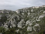  DSC0387