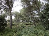  DSC0393