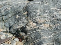 DSC0613 DxO  Des plis dans les gneiss