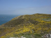 DSC6043  Le paysage, une lande dominée par les chamaephytes : ajoncs, éricacés. Pas d&#39;arbres. Climat froid : 17° en moyenne l&#39;été, 4-5° l&#39;hiver. Deux jours de gel par an.