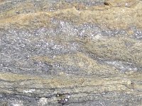 DSC6066sill  Sillimanite blanche