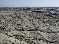 DSC6152  Paléoenvironnement : la structure des stromatolithes et la présence de calcaire oolithique sont en faveur d&#39;un milieu interdital proximal (stromatolithes) à incursions de forte énergie (oolithes).