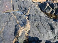 DSC0892 DxO  Filons de granodiorite dans les pélites métamorphisées