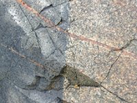 DSC0916 DxO  A droite le granite rose d&#39;Ecuty : granite alcalin post-Cadomien daté à 530 Ma. A gauche une dolérite, roche à structure microgrenue et composition de gabbro. Les filons roses recoupent l&#39;ensemble.