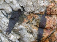 DSC0942 DxO  Masses noires : fayalite (péridot ferreux stable en présence d&#39;un excès de silice) altérée en chlorite + hématite