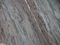DSC1648  De la calcite blanche cristallise dans les plans de glissement.