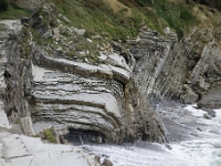 DSC1674
