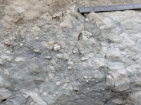 DSC9158 DxO  De l&#39;autre côté de la limite, une brèche de carbonates du Danien. Les éléments sont de même nature que le ciment.