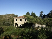DSC1684