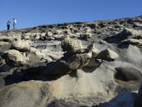 DSC1727