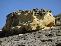 DSC1730