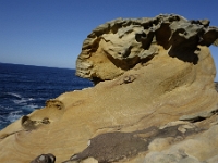 DSC1736