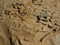 DSC1746