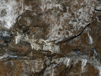 DSC9363 DxO  Dépots de calcite blancs et petites stalactites