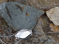 DSC9437 DxO  A droite, le granite. A gauche, la cornéenne à amphibole du métamorphisme de contact.