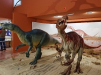 DSC9459 DxO  Les traces découvertes dans la région appartiennent à deux espèces de Dinosaures. Maquettes échelle 1/2.