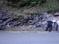 DSC1934  Des pillow-lavas. Intercalation d&#39;un important épisode volcanique dans les sédiments du flysch de l&#39;Albien supérieur  au Santonien inférieur- Crétacé, comtemporain de l&#39;ouverture du Golfe de Gascogne.