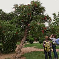 IMG_0461_raw