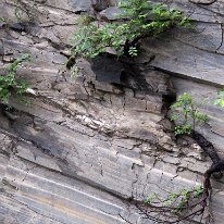 IMG_0477_raw