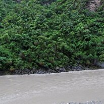 IMG_0480_raw