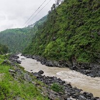 IMG_0481_raw