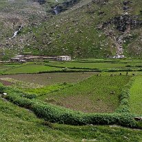 IMG_0530_raw