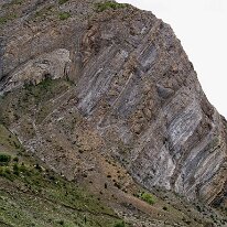 IMG_0540_raw
