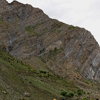 IMG_0541_raw