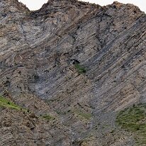 IMG_0543_raw