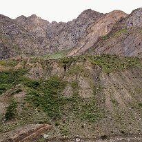 IMG_0547_raw