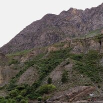 IMG_0548_raw