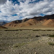 IMG_0687_raw