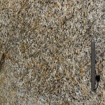IMG_0729_raw