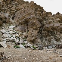 IMG_0736_raw