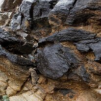 IMG_0749_raw