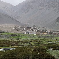 IMG_0751_raw