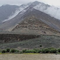 IMG_0767_raw