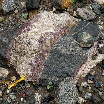 IMG_0769_raw