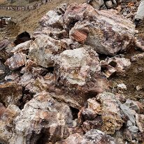 IMG_0771_raw