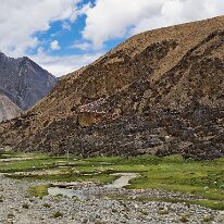 IMG_0876_raw