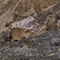 IMG_0877_raw