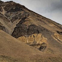 IMG_0879_raw
