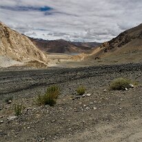 IMG_0881_raw
