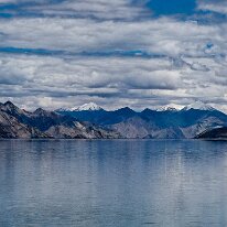 IMG_0890_raw
