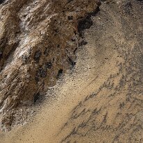 IMG_0895_raw